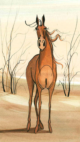 Curious Colt