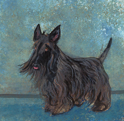 Scottie