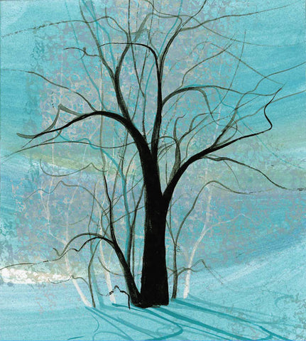 Winter Shadows