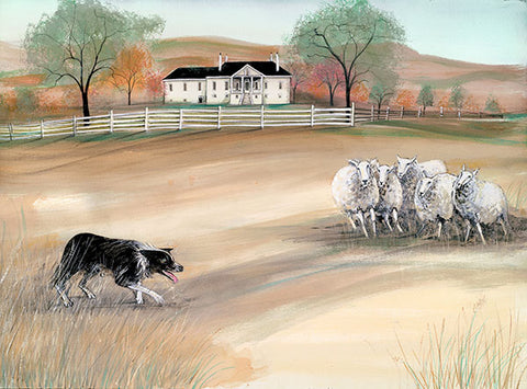 Herding at Belle Grove